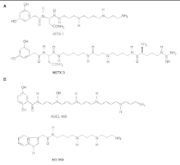 Figura  1.  Estrutura  geral  de  acilpoliaminas  isoladas  de  peçon Acilpoliaminas  com  aminoácido:  JSTX