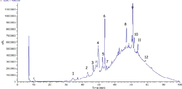 Figure 7.1 – Chromatogram of Chã red wine extract for anthocyanins at 520 nm. 