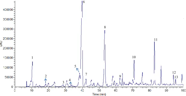 Figure 7.2 - Chromatogram of Chã red wine extract for non-anthocyanic compounds at  total scan