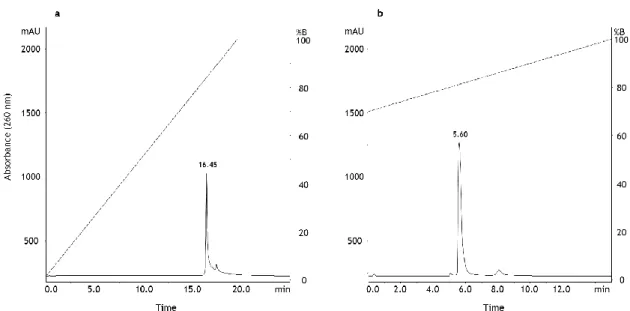 Figure 3 – Chromatographic analysis of native pDNA (oc+sc) using the monolithic column based on  anion-exchange  chromatography