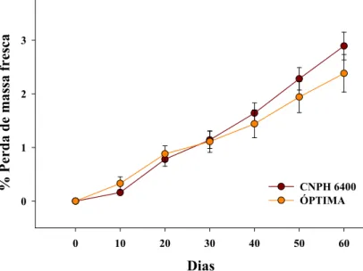 Figura 10 - Percentual da perda de massa fresca em cebolas  CNPH 6400 e Óptima armazenadas a 5 ºC