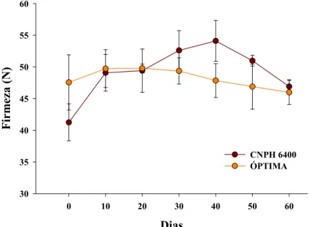 Figura 11 - Firmeza em cebolas CNPH 6400 e Óptima  armazenadas a 5  o C. Barras verticais representam o desvio  padrão da média