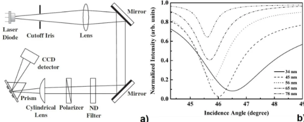 Figure 3.2 - (a) Schematic diagram of the wedge-shaped beam type angular interrogation-based SPR sensor