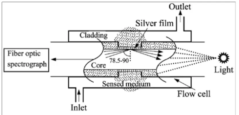 Figure 3.6 - Illustration of the SPR fiber optic sensing element reported by Jorgenson et al