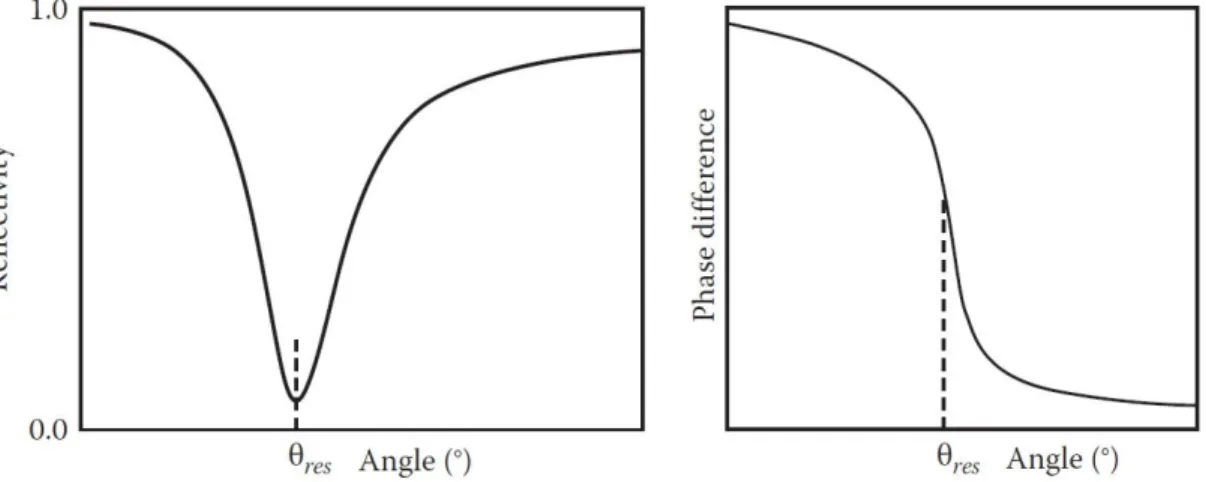 Figure 3.14 – Typical angular SPR curve (left) and the phase difference between the p- and s-components of the  reflected light (right)