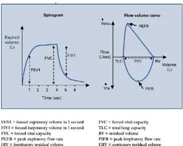 Figure  2.1  -  Normal  spirogram  and  flow-volume  curve  showing  the  conventional  measurements made