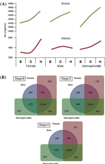 Fig. 2  Analysis of genes transcribed in the genomes that match with V. 
