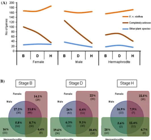 Fig. 4  Analysis of transcribed  sequences that do not match  with Vitis reference genome  (12X_v2.1)