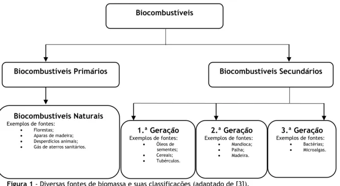 Figura 1 - Diversas fontes de biomassa e suas classificações (adaptado de [3]).