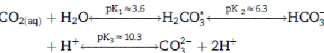 Figura 3 - Equilíbrio do sistema tampão ácido-base fraco do dióxido de carbono (adaptado de [11]).