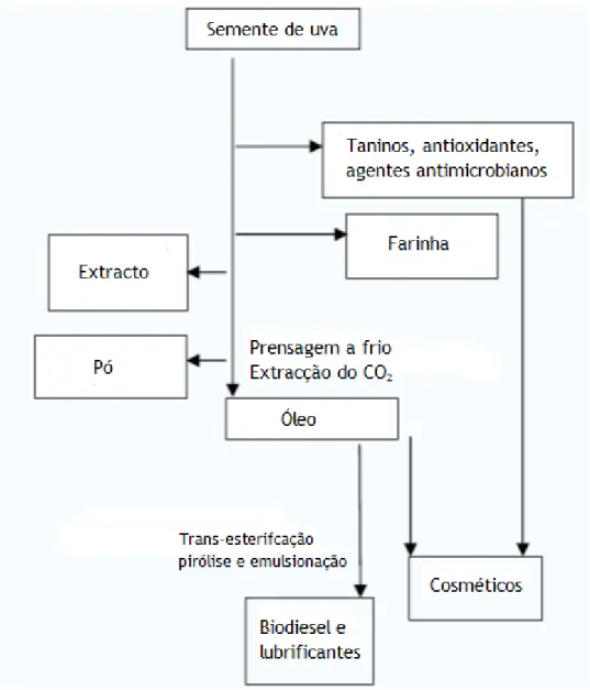 Figura 3.1 - Esquema sobre vias de valorização de grainha de uva (Nerantzis and Tataridis,  2006)
