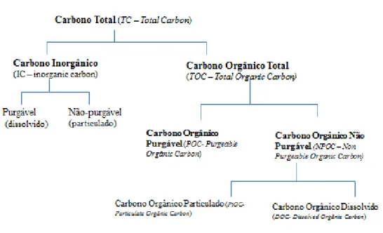 Figura 4.1 – Esquema representativo das diferentes formas de carbono mensuráveis 