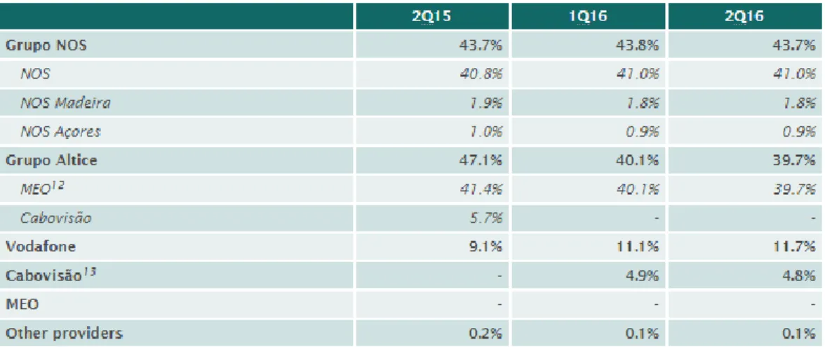 Table 16 - Provider shares of subscribers to STV signal distribution service 