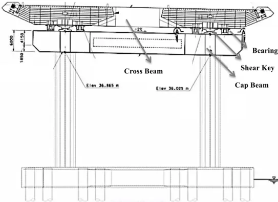 Fig. 3.17 - East pier transverse elevation with pile cap, piers, cap beam, double deck and deck  anchorage  [Ref.: Caltrans]