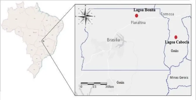 Figura  1.  Localização  das  áreas  de  estudo.  Lagoa  Bonita,  ESECAE  (Planaltina-DF)  e  Lagoa  Cabocla, no CIF (Formosa-GO)