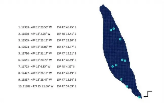Figura  4.  Exemplo  de  sorteio  dos  pontos  de  coleta  na  Lagoa  Cabocla  (CIF,  Formosa- Formosa-GO),  com  georreferenciamento  em  malhas  de  no  mínimo  20m  de  distância,  segundo  Alvim (2014, em preparação)