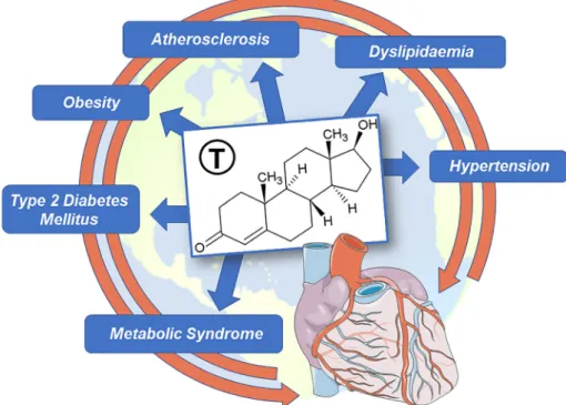Fig. 3 Abstract illustration of the main risk factors for