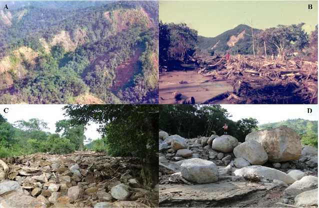 Fig. 2. (A, B) Mass movements in the Serra do Mar, Caraguatatuba,  on March 1967 (C, D) and Itaóca municipality on January  2014