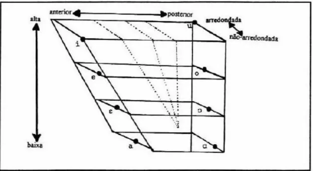 Figura 4: Vogais cardeais primárias (CRISTÓFARO SILVA, 1999, p. 135). 