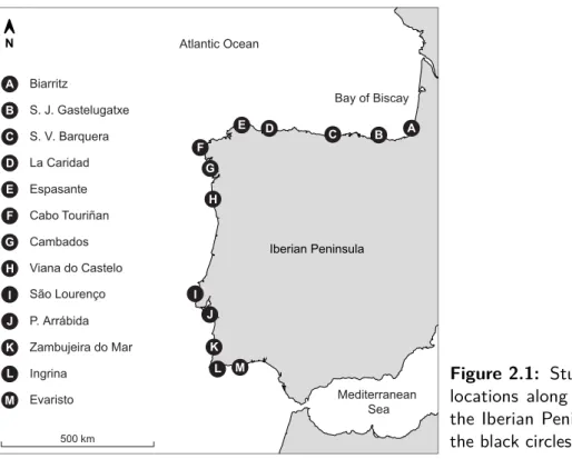 Figure 2.1: Study area. Deployment locations along the Atlantic coast of the Iberian Peninsula are depicted by the black circles.