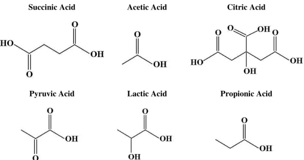 Figure 2.6 – Chemical structure of succinic, acetic, citric, pyruvic, lactic and propionic acid