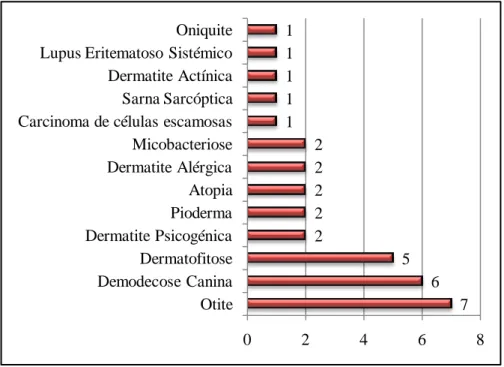Gráfico  4  –  Distribuição  da  casuística  observada  no  ambulatório  de  Dermatologia  no  HV  da  FMVZ/UNESP, em termos de frequência absoluta (n=33)