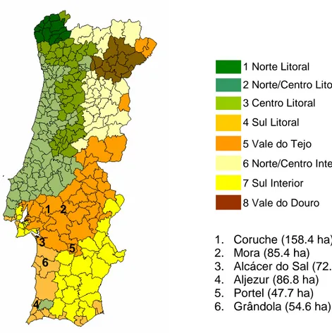 Figura 1.  Localização  das  áreas  de  demonstração  no  mapa  das  regiões  climáticas  definidas por Ribeiro e Tomé (2000a)