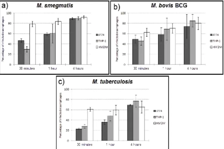 Figure 7. Internalization efficiency of different macrophages, sorted by species of mycobacteria