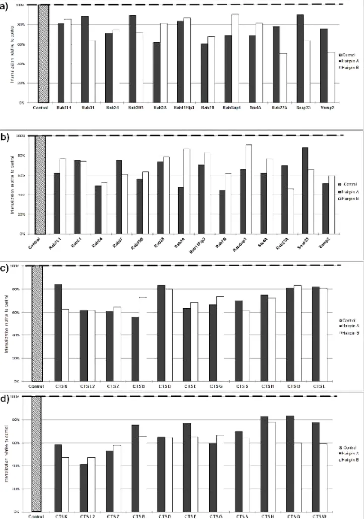 Figure 8. Efficiency of internalization for knockdown THP-1 macrophages  infected with: a) and  c)  M