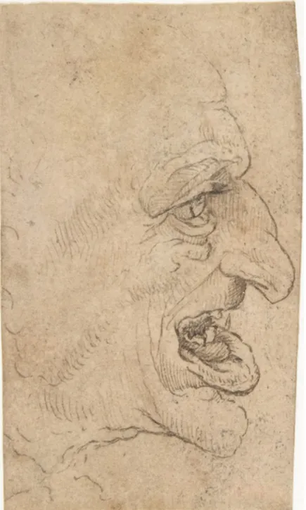 Figura  2  –  L.  Da  Vinci.  Cabeça  de  um  homem  grotesco  de  perfil  direito,  c