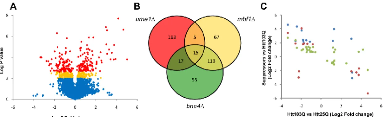 Figure  2.2.  Identification  of  DEGs  in  wild-type  and  gene  deletion  suppressor  strains expressing Htt103Q