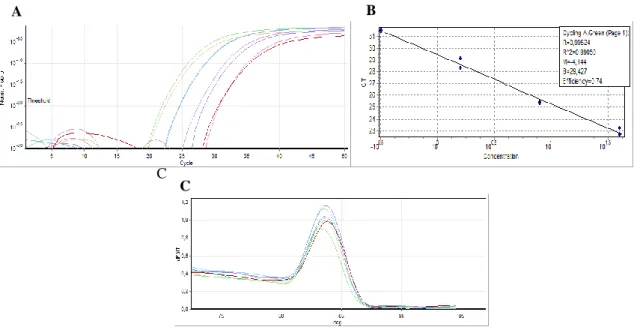 Figure 18 | qPCR Standard and melting curves analysis for the tumor necrosis factor receptor-1 (TNFR1) gene