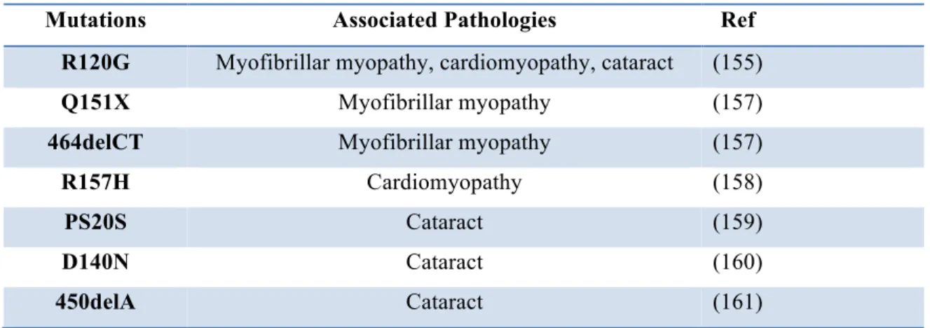 Table 2. Mutations in αBc and the corresponding pathologies. Adapted from (144). 