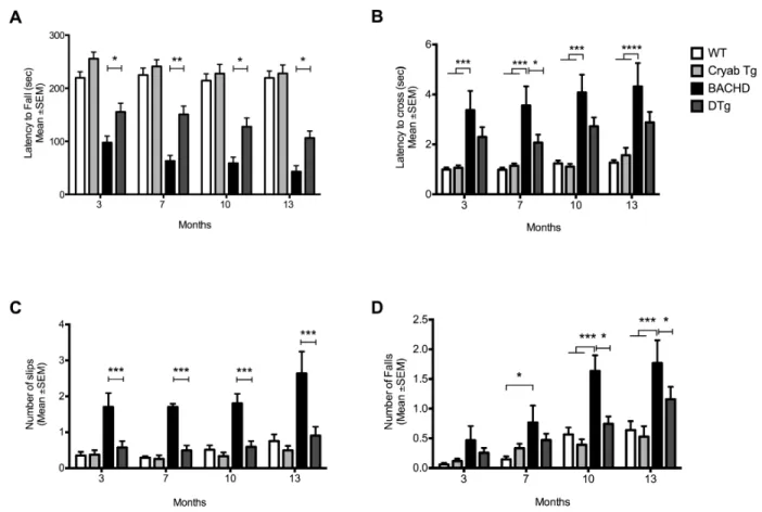 Figure 2. αBc overexpression improves behavioral readouts in BACHD mice. 