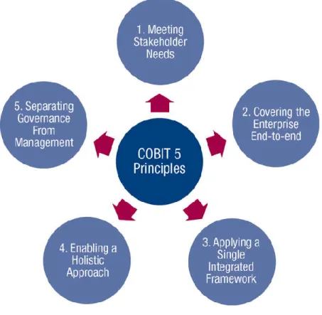 Figure 3- COBIT Principles 