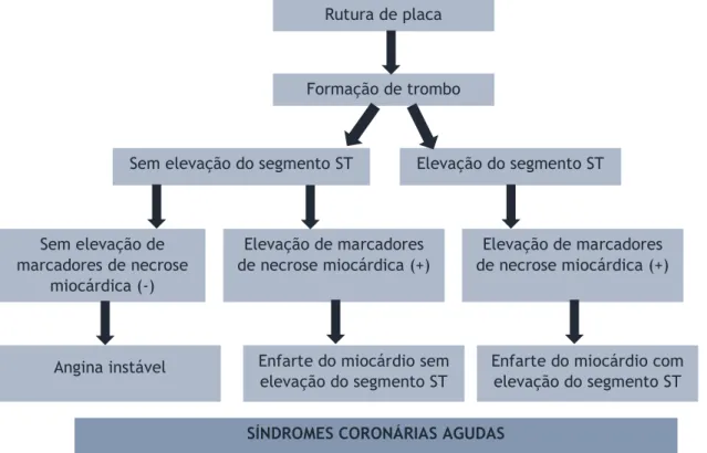Figura 1 - Desenvolvimento das síndromes coronárias agudas. (5) Rutura de placa 