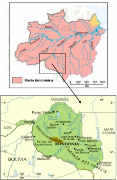 Figura  3  –  Mapa  esquemático  mostrando  a  região  de  estudo.  Fonte:  Adaptado  do  Estudo  de  Impacto  Ambiental  –  Aproveitamentos  hidrelétricos  Santo  Antônio  e  Jirau  –  Rio  Madeira/Rondônia – Tomo A volume 1 (A) (2005)