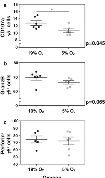 Fig. 4 In vitro analysis of degranulation capacity (A), granzyme B, (B) and perforin (C) CD3 + γδ -T lymphocytes, comparing normal levels of oxygen and hypoxia