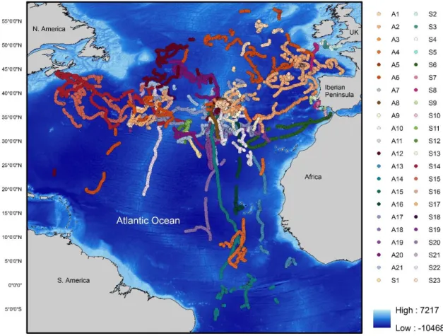 Fig. 1 – Spatial distributions of satellite-tracked blue sharks Prionace glauca (S1 to S23 and A1 to A21) between 2006  and 2015 in the north Atlantic Ocean