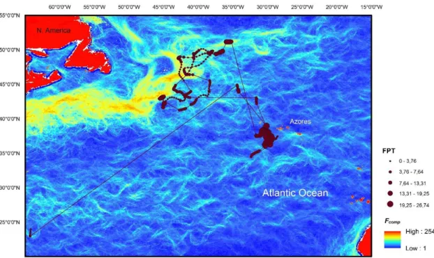 Fig. 6 – Geographical locations with FPT and correspondent F comp  of shark A12 (9 December 2009 to 23 June 2011)