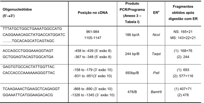 Tabela 1:   Oligonucleótidos e programas de PCR utilizados na pesquisa da mutação c.985A&gt;G e na  caracterização dos haplotipos
