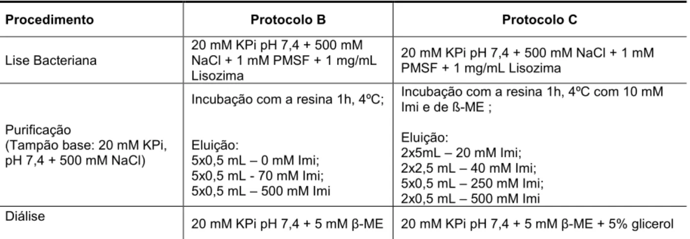 Tabela 3. Protocolos de lise, purificação e diálise para obtenção das proteínas recombinantes