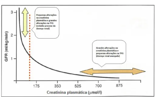 Figura 6: Relação entre a TFG e a concentração de creatinina plasmática 
