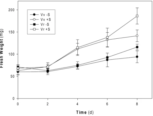 Fig. 2 Growth curves of Vitis vinifera cv. Touriga Nacional (Vv) and Vitis rupestris (Vr) cell cultures in þS and S growing conditions