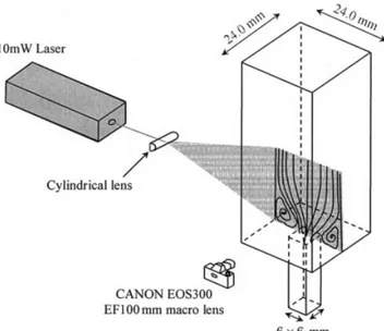 Figure 2. Flow visualization technique and details of the test section.