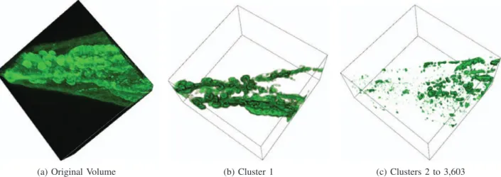 Figure 3: 3D visualization of the bile duct wall and PBGs: points shown in (b) represent mostly the PBGs identiﬁed as cluster 1, and those shown in (c) are also considered noise and were detected as clusters 2 to 3,603.