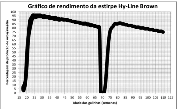 Gráfico 1 - Percentagem de nº de ovos por galinha, por dia, durante todo o ciclo de  postura  de  galinhas  poedeiras  da  estirpe  Hy-Line  Brown
