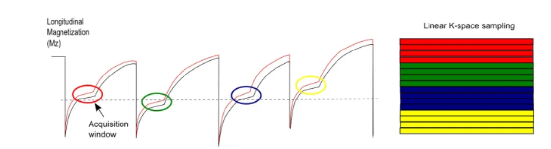 Figure 2.12: Schematic representation of Mz behaviour over time using a repeated IR acqui- acqui-sition with irregular heart rate