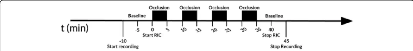 Fig. 1 Timeline of the RIC procedure (time in minutes). Four periods of 5-min occlusion were applied with an inflated limb-cuff, each period followed by 5-min of rest (cuff deflated)