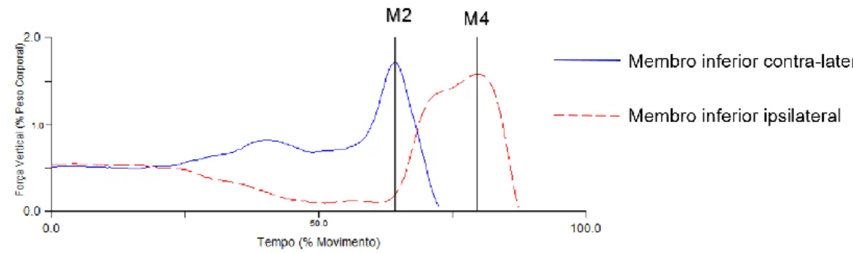 Figura 6 - Representação gráfica de um GR que apresenta magnitude da componente vertical  da força de reação do solo (FRS) superior no membro contra-lateral, na fase propulsiva da 